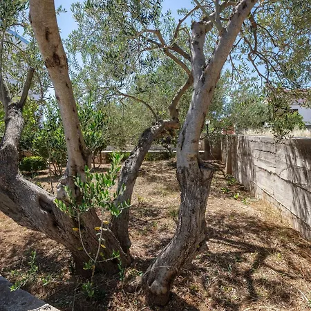 Apartments With Parking Space Jezera, Murter - 798 Apartman *