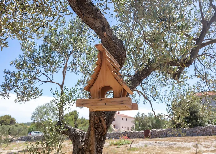 Apartments With Parking Space Jezera - Murter - 798